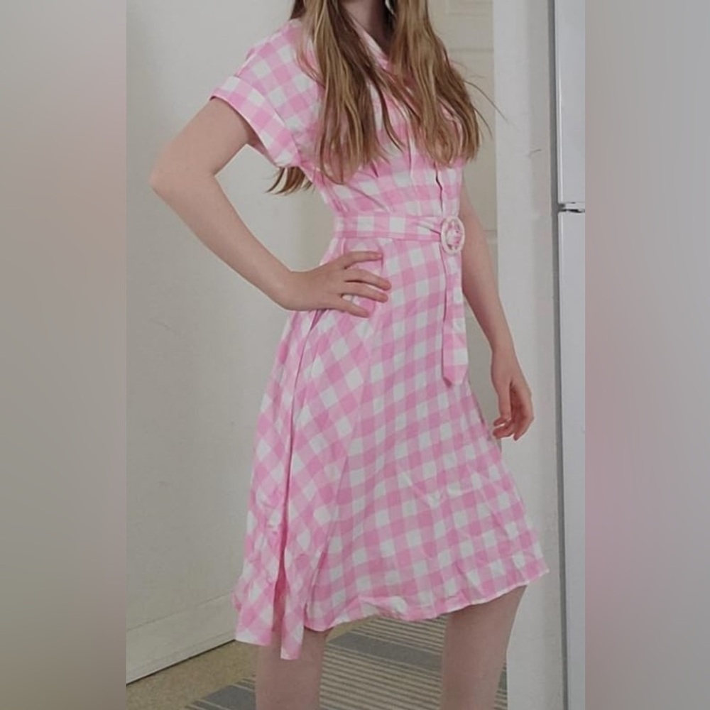 Pink Plaid Gingham Dress ( without the belt)
